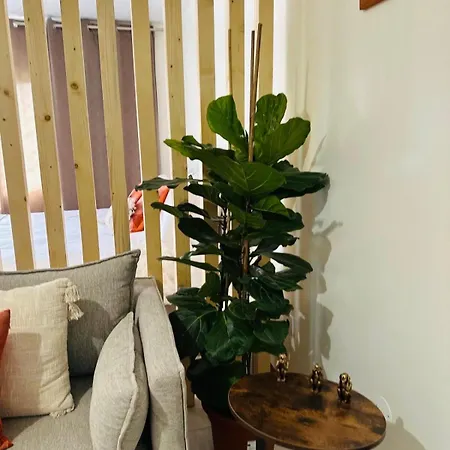 Vakantiehuis Dani House - Escape