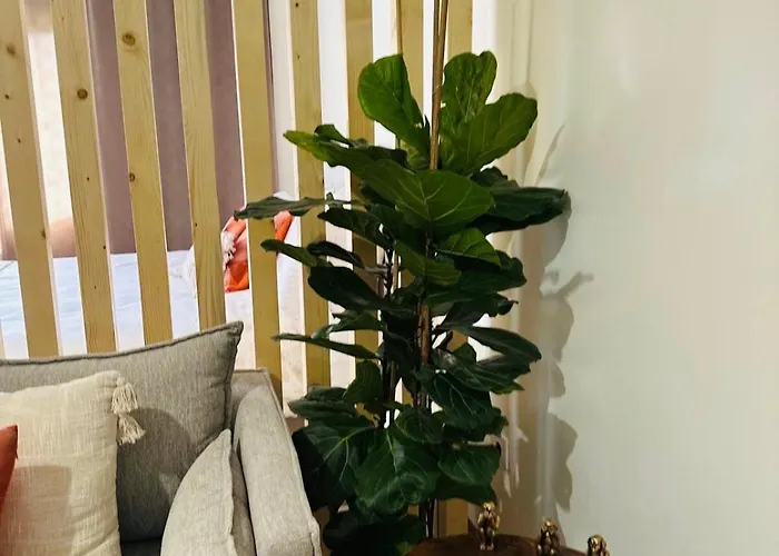 Dom wakacyjny Dani House - Escape