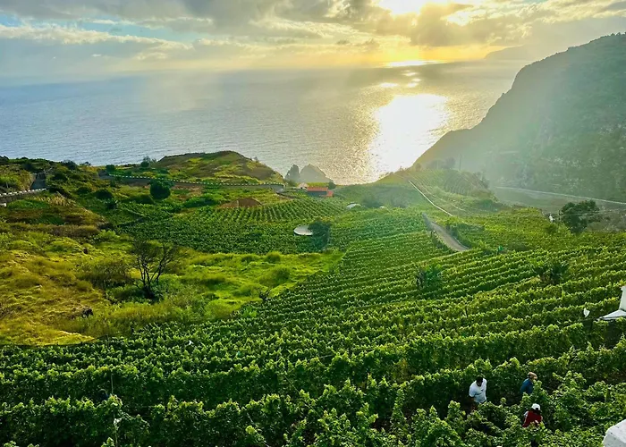 Dani House - Escape Dom wakacyjny Porto Moniz